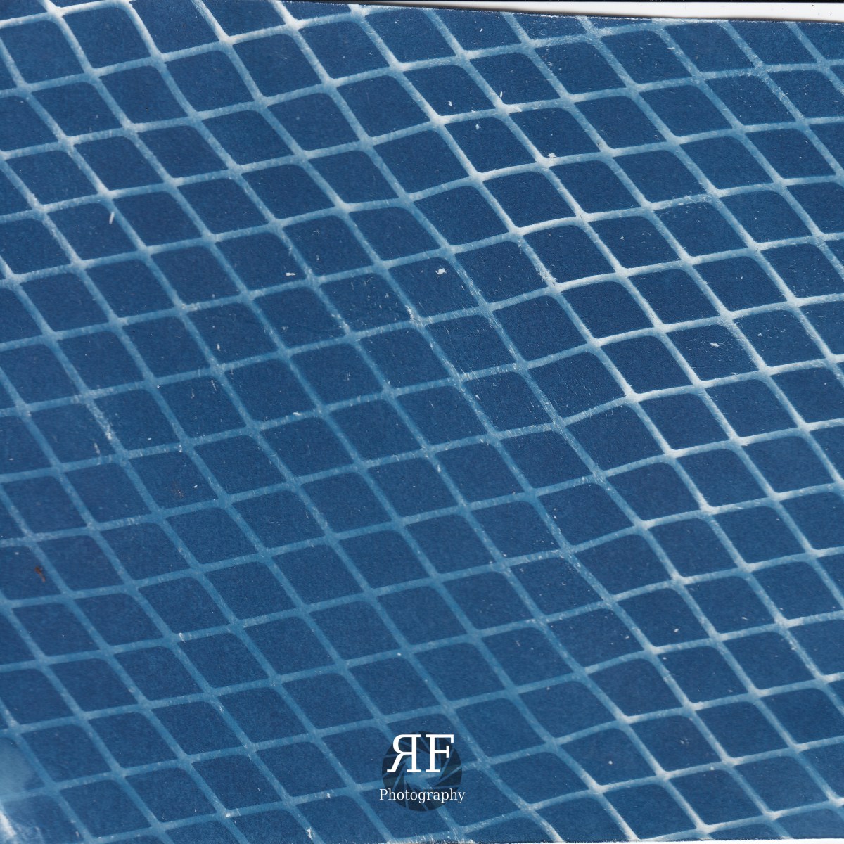 Expirementing with Cyanotypes