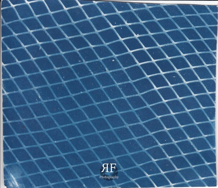 Expirementing with Cyanotypes